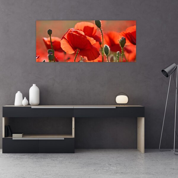 Slika maka (120x50 cm)