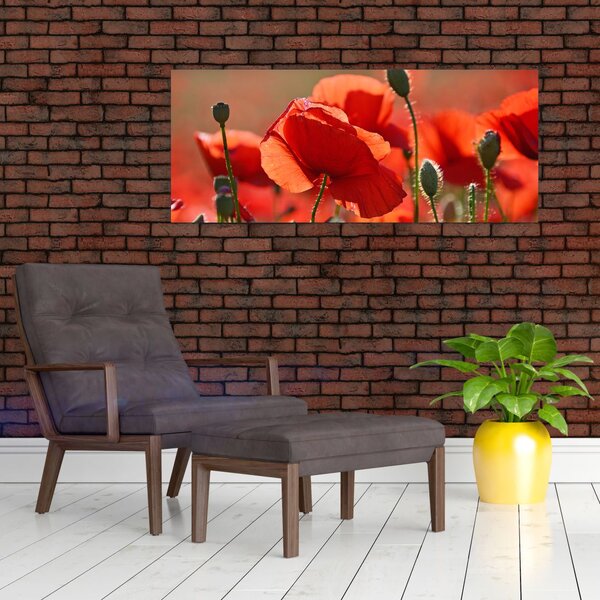 Slika maka (120x50 cm)