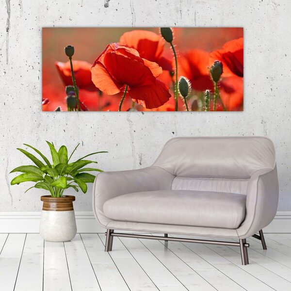 Slika maka (120x50 cm)