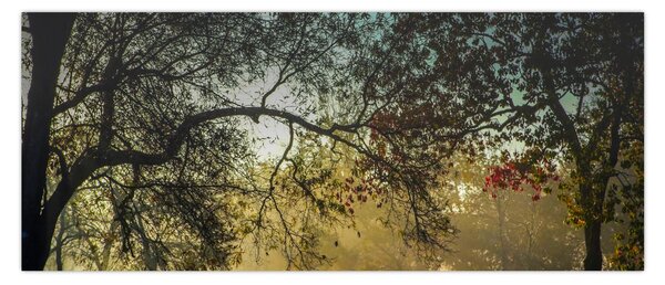 Slika izlaska sunca (120x50 cm)