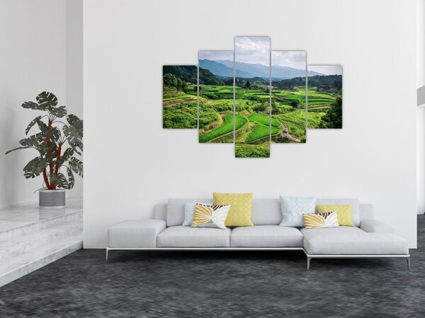 Slika rižinih polja (150x105 cm)