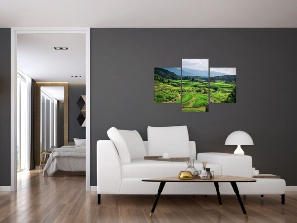 Slika rižinih polja (90x60 cm)