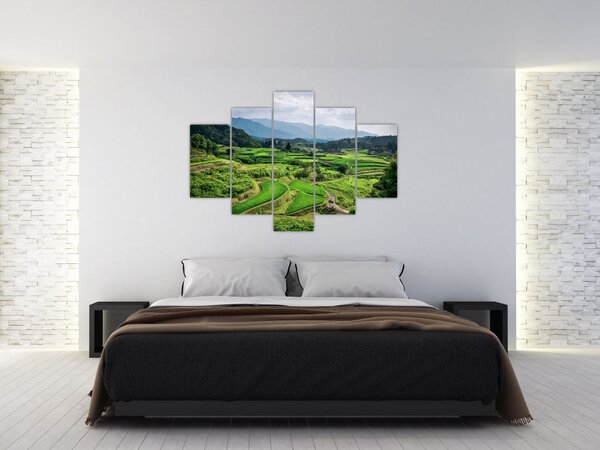 Slika rižinih polja (150x105 cm)
