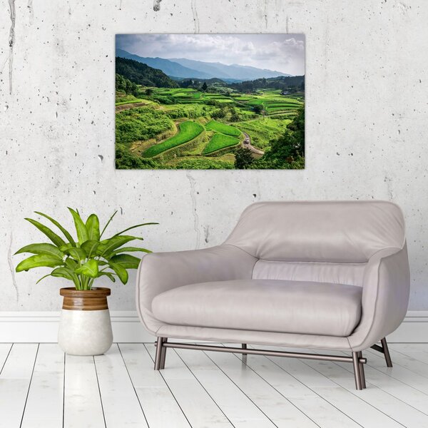 Slika rižinih polja (70x50 cm)