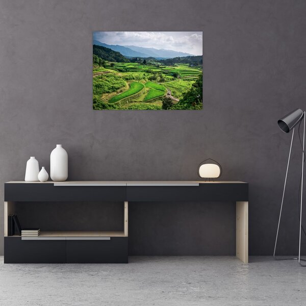 Slika rižinih polja (70x50 cm)