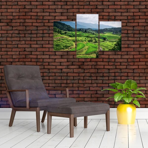 Slika rižinih polja (90x60 cm)