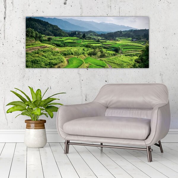 Slika rižinih polja (120x50 cm)