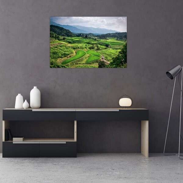 Slika rižinih polja (90x60 cm)