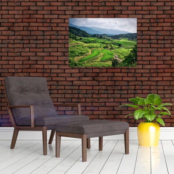 Slika rižinih polja (70x50 cm)