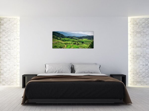 Slika rižinih polja (120x50 cm)