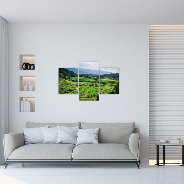 Slika rižinih polja (90x60 cm)