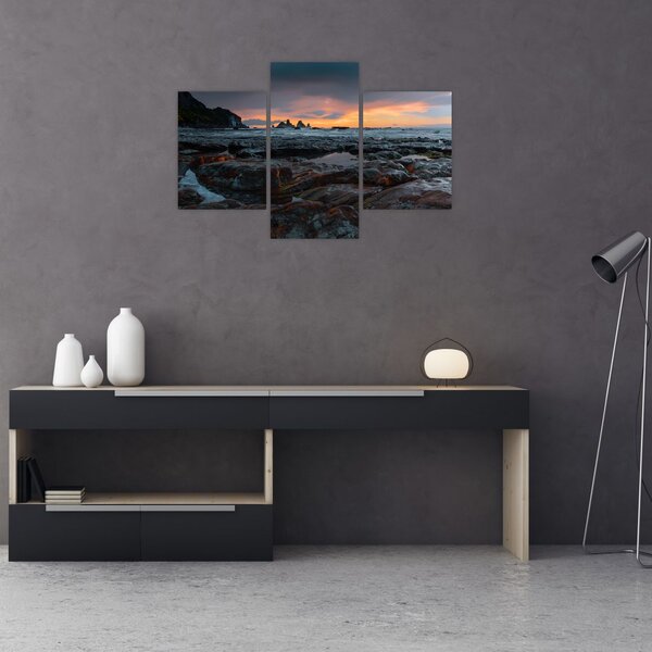 Slika - krajolik na Novom Zelandu (90x60 cm)