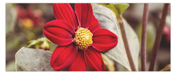 Slika cvijeta (120x50 cm)