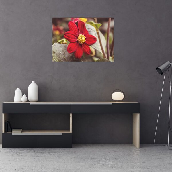 Slika cvijeta (70x50 cm)