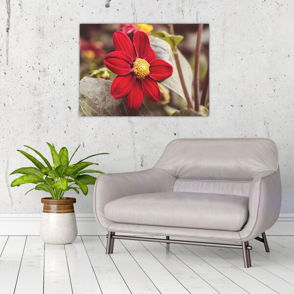 Slika cvijeta (70x50 cm)
