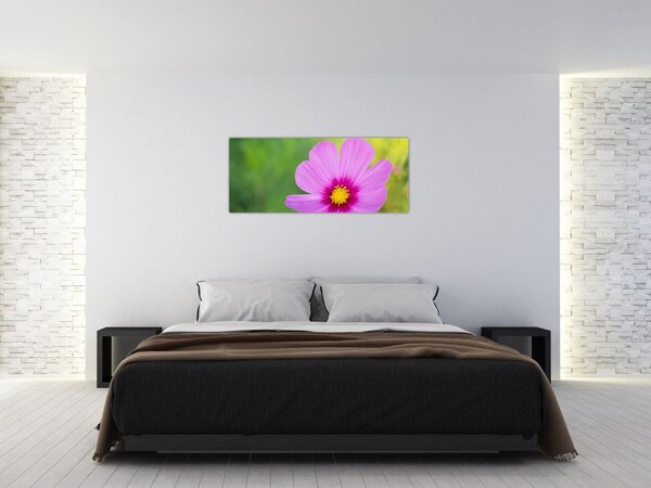 Slika - livadski cvijet (120x50 cm)