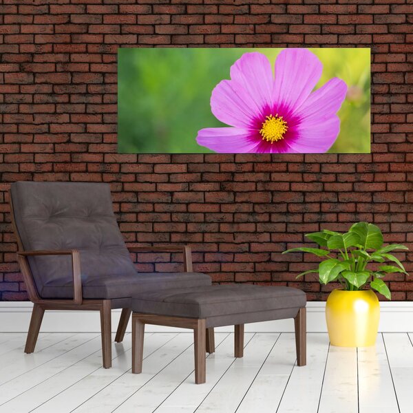 Slika - livadski cvijet (120x50 cm)