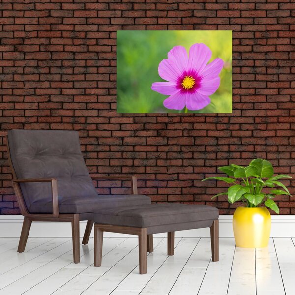 Slika - livadski cvijet (70x50 cm)