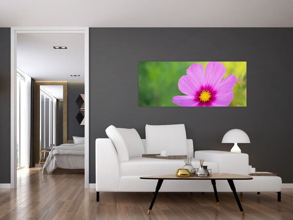 Slika - livadski cvijet (120x50 cm)
