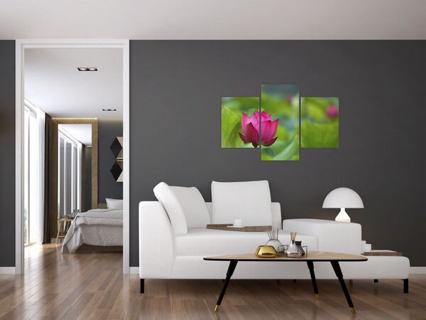 Slika - vodena biljka (90x60 cm)
