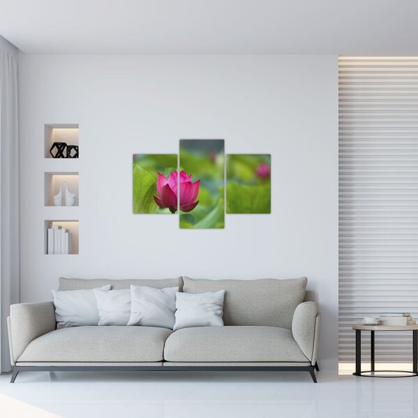 Slika - vodena biljka (90x60 cm)