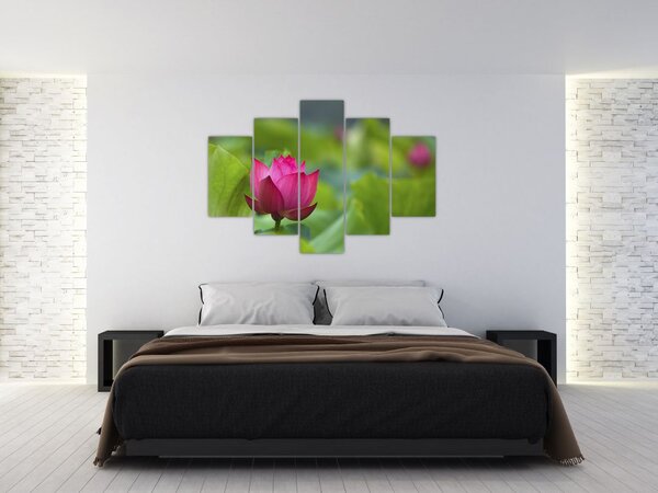Slika - vodena biljka (150x105 cm)