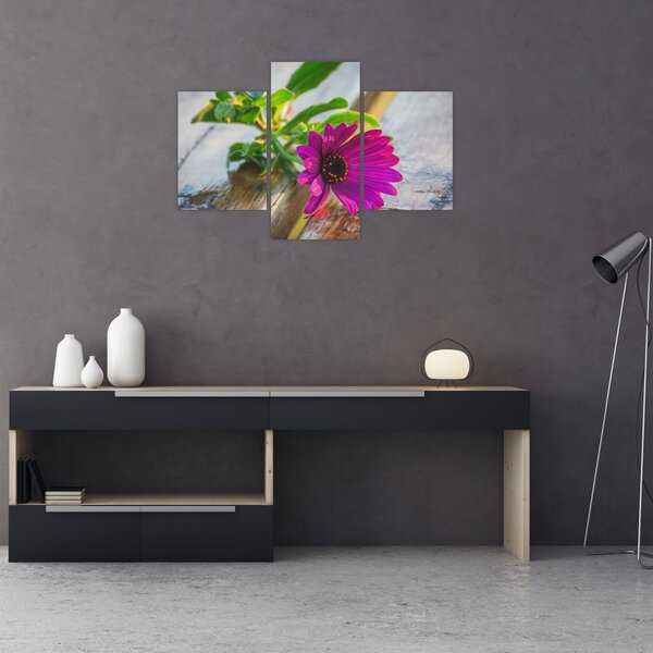 Slika rezanog cvijeta (90x60 cm)