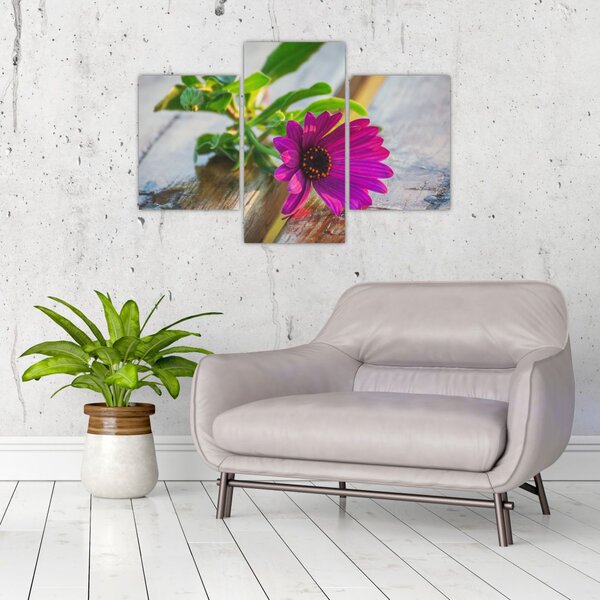 Slika rezanog cvijeta (90x60 cm)