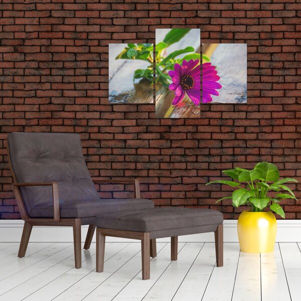 Slika rezanog cvijeta (90x60 cm)