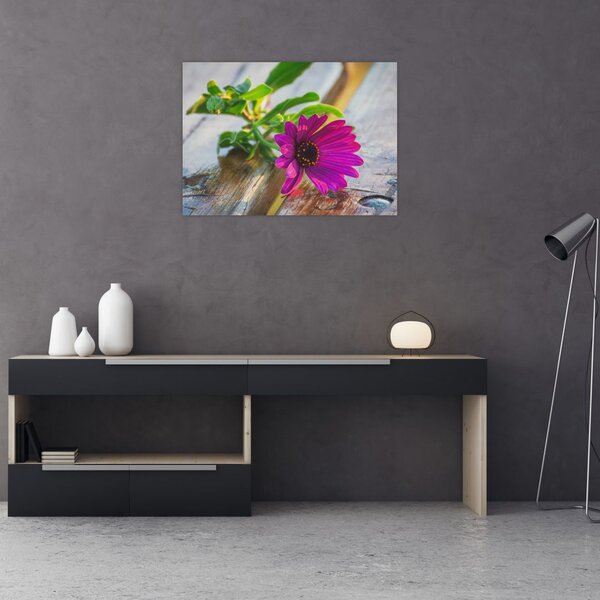 Slika rezanog cvijeta (70x50 cm)