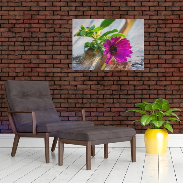 Slika rezanog cvijeta (70x50 cm)