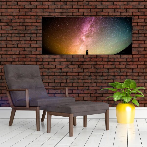 Slika - nebo puno zvijezda (120x50 cm)