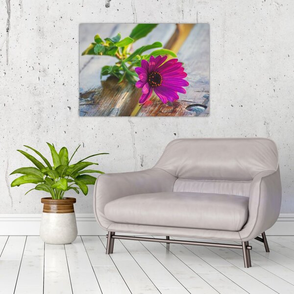 Slika rezanog cvijeta (70x50 cm)
