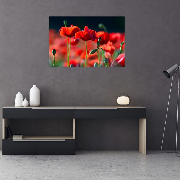 Slika - makovi (90x60 cm)