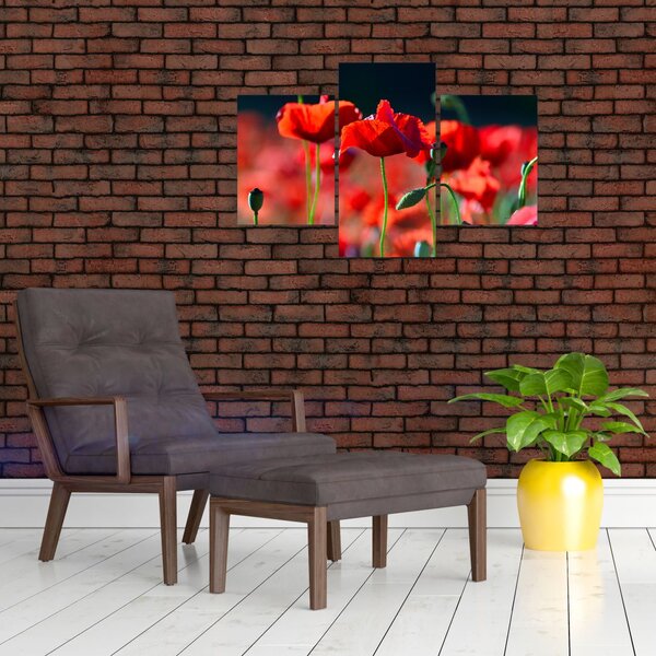 Slika - makovi (90x60 cm)
