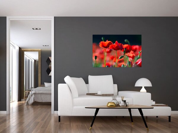 Slika - makovi (90x60 cm)