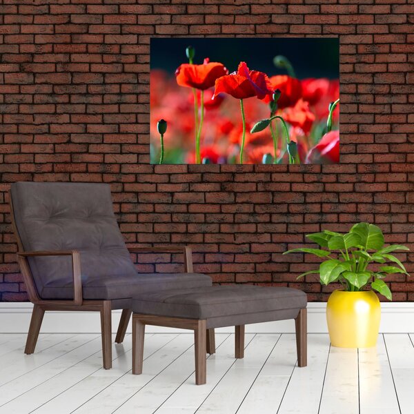 Slika - makovi (90x60 cm)