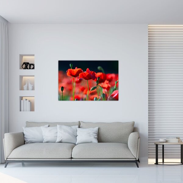 Slika - makovi (90x60 cm)