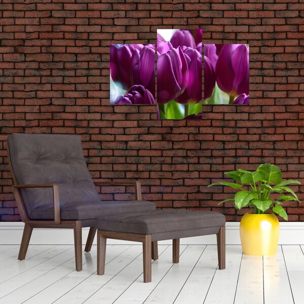 Slika tulipana (90x60 cm)