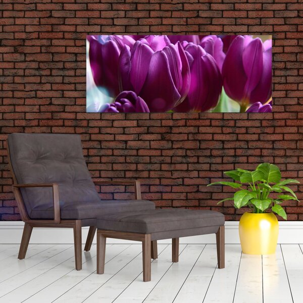 Slika tulipana (120x50 cm)