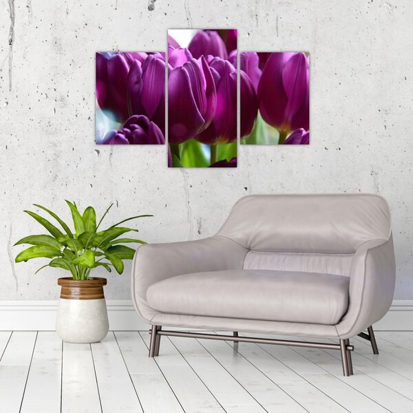 Slika tulipana (90x60 cm)
