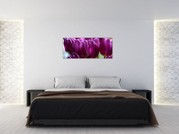 Slika tulipana (120x50 cm)