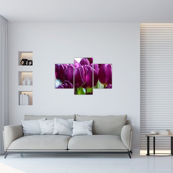 Slika tulipana (90x60 cm)