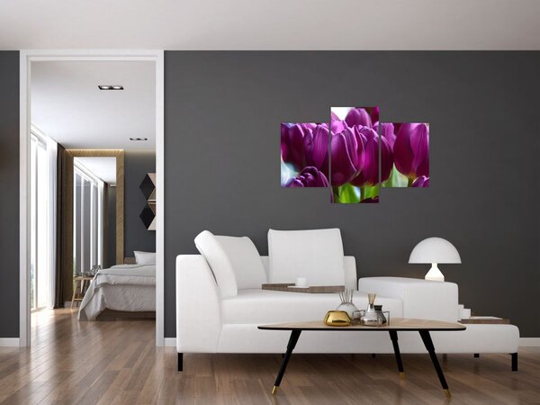 Slika tulipana (90x60 cm)
