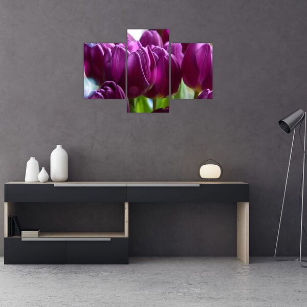 Slika tulipana (90x60 cm)