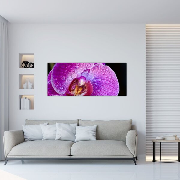 Detajlna slika cvijeta orhideje (120x50 cm)