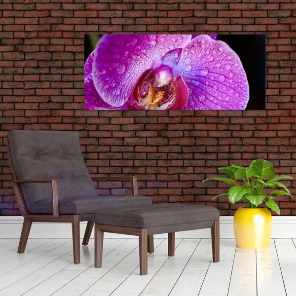 Detajlna slika cvijeta orhideje (120x50 cm)