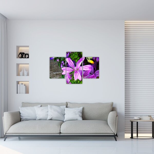 Slika - livadsko cvijeće (90x60 cm)
