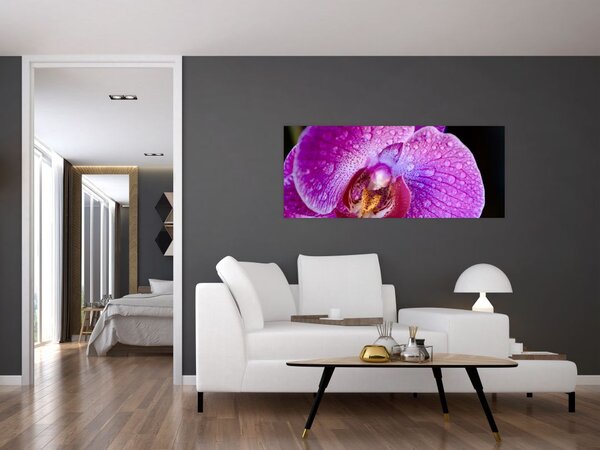 Detajlna slika cvijeta orhideje (120x50 cm)