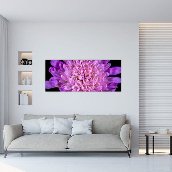 Detaljna slika cvijeta (120x50 cm)